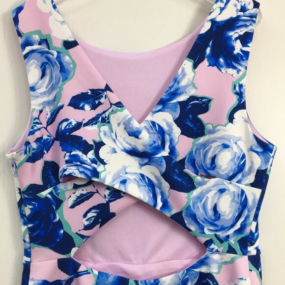 Betsy Johnson Blue and Pink Floral Design Sleeveless Open Back Midi Dress Size 8 - Picture 6 of 9